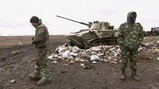 Ceasefire on the cards in Ukraine's war-torn east