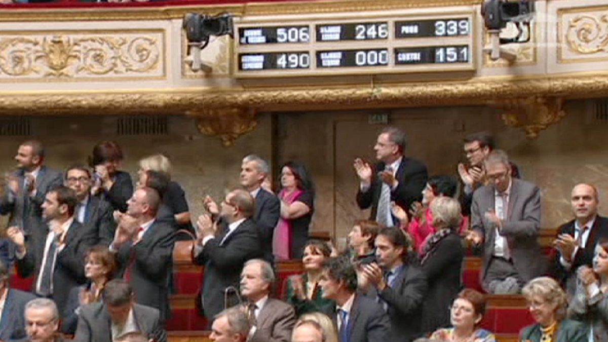 La Asamblea Francesa aprueba una resolución que insta al Gobierno a reconocer el Estado palestino