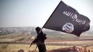 IŞİD'e karşı koalisyondan birlik mesajı