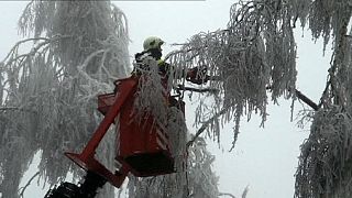 Ice and winds cause havoc in east and central Europe