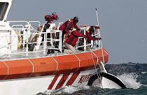 Record deaths in 2014 as migrants try to cross the Mediterranean