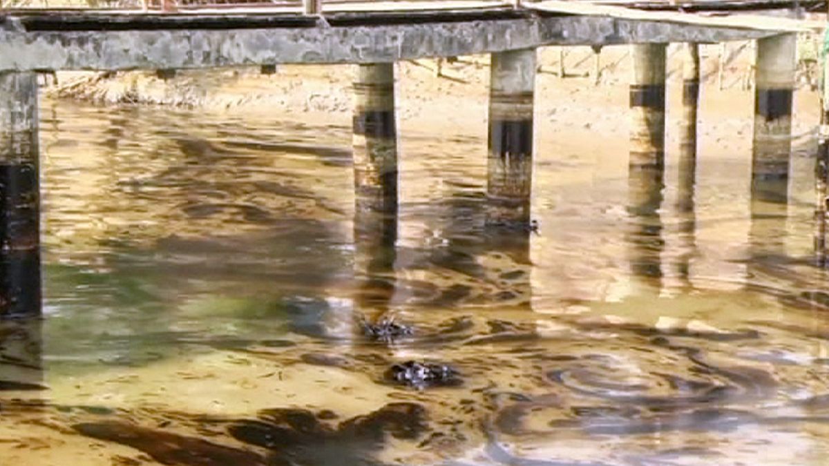Oil spill threatens UNESCO world heritage site in Bangladesh