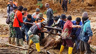 Village destroyed by deadly landslide near Jakarta, Indonesia