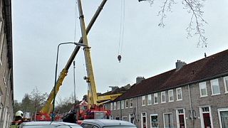 Proposta di matrimonio con catastrofe in Olanda