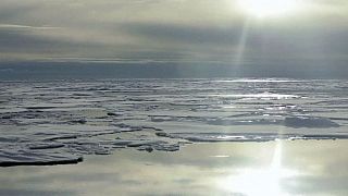 Дания претендует на Северный полюс... и почти 900 кв. км северных территорий