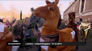 Star Wars characters join pantomime horses for weird and wacky London race