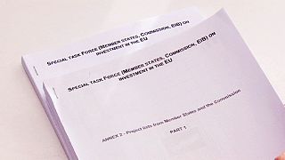 ¿Qué tipo de proyectos financiará el plan de inversión del Ejecutivo europeo?