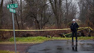 Body of US Iraq war veteran suspected of killing six family members discovered in Pennsylvania