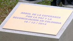 FARC: egyoldalú tűzszünet
