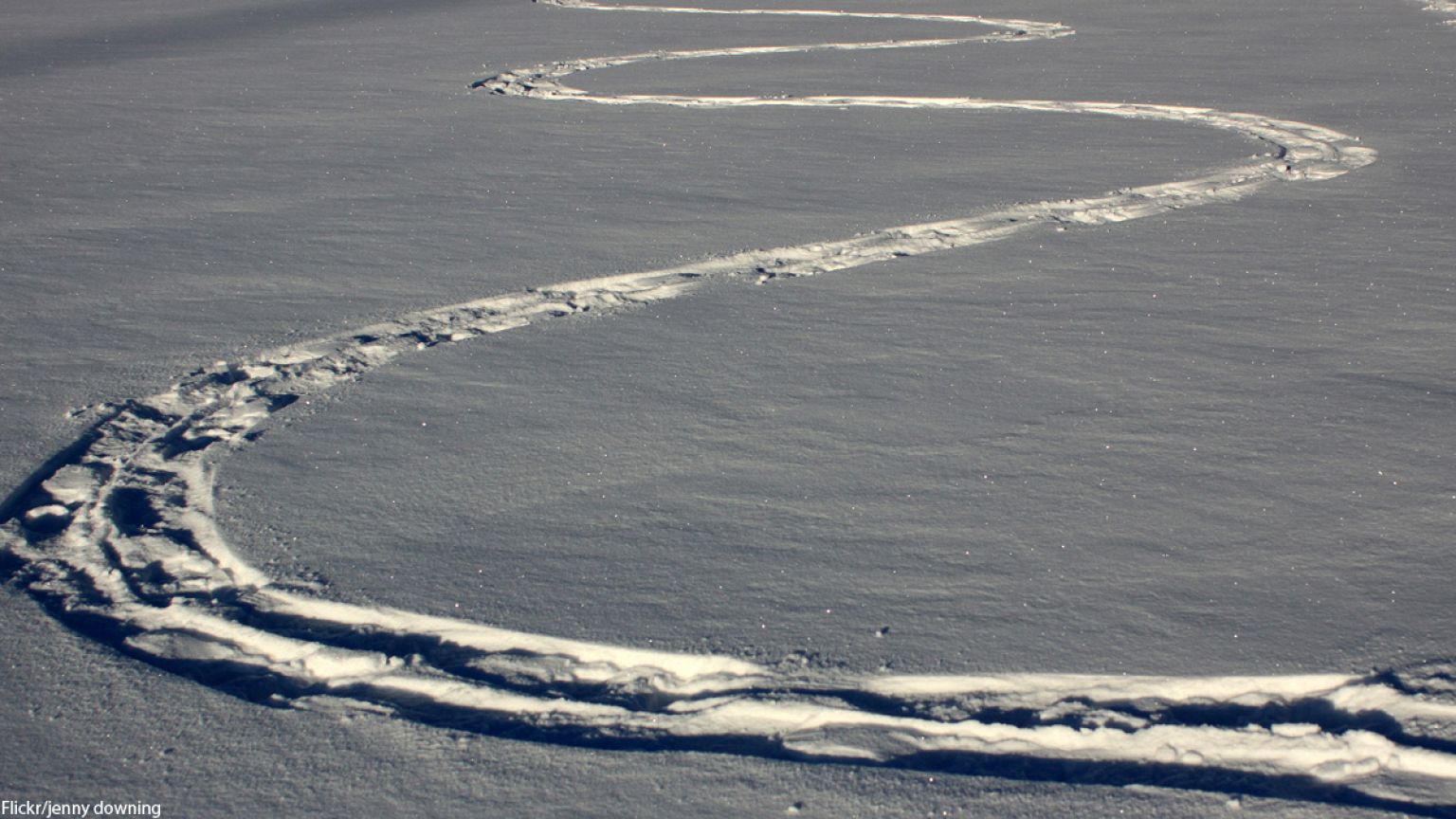 Off the beaten track: why Gen Y should forge their own path