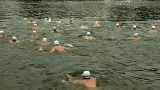 Prague swimmers take traditional winter plunge