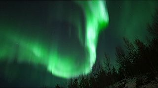 Norveç'te kutup ışıklarının muhteşem şöleni
