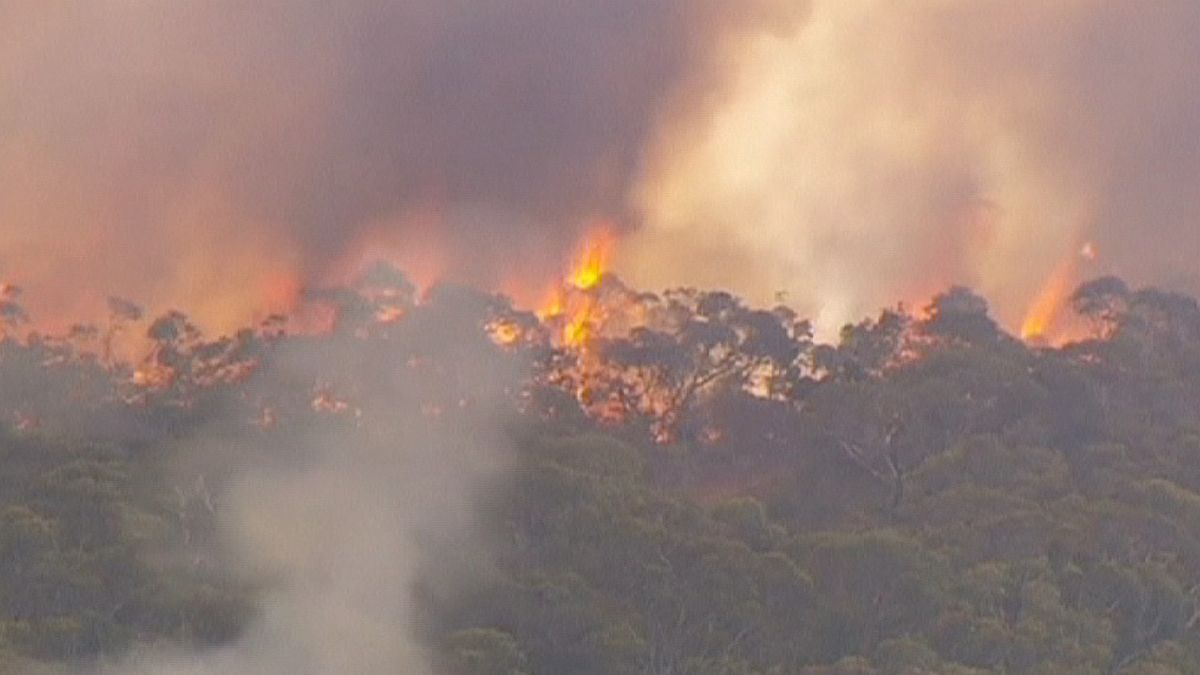 Heiße Temperaturen und starke Winde fachen Feuer in Südaustralien an