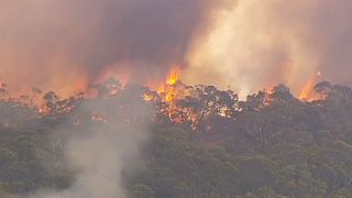 Australia: incendi fuori controllo nel sud. Temperature roventi