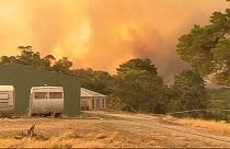 Australia: lives in danger as bush fire threatens Adelaide suburbs