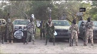 Suspected Boko Haram militants kidnap 40 men in north-east Nigeria