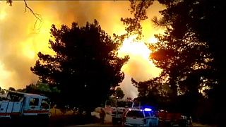 Australie : la région d'Adélaïde ravagée par les flammes