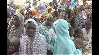 Nigéria: nova ofensiva do Boko Haram acompanhada por centenas de execuções