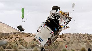 Dakar Rally: Terranova claims stage 7