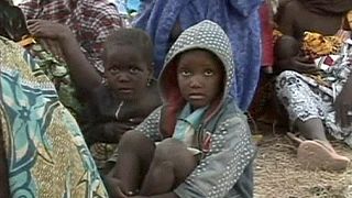 Nijerya dünyadan teröre karşı yardım bekliyor