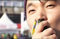 Κορέα: Φεστιβάλ πέστροφας