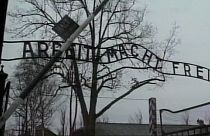 Auschwitz-Befreiung: Putin nimmt nicht an Gedenkfeier teil