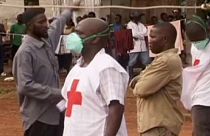 Ébola em África: Futebolistas controlados e novos casos em queda