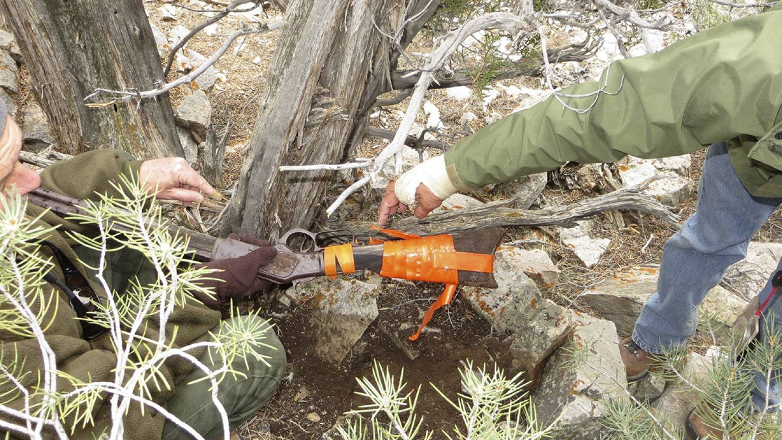 Etats-Unis : un fusil posé contre un arbre… depuis 132 ans !