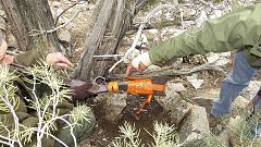 Etats-Unis : un fusil posé contre un arbre… depuis 132 ans !