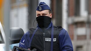 Europe on high alert following anti-terror raids