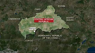 Armed men kidnap UN worker in Central African Republic