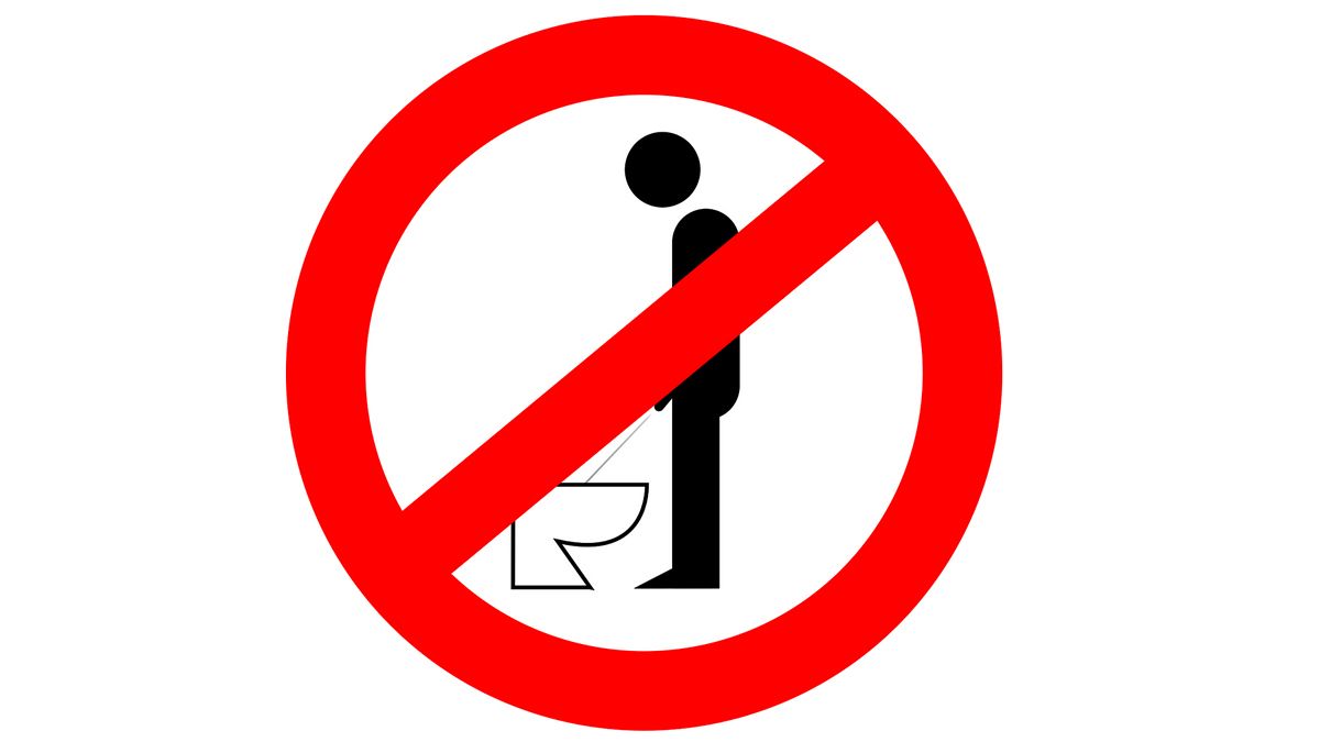German men 'can use toilet while standing', judge rules