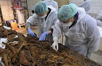 Испания: археологи нашли гроб с инициалами Сервантеса