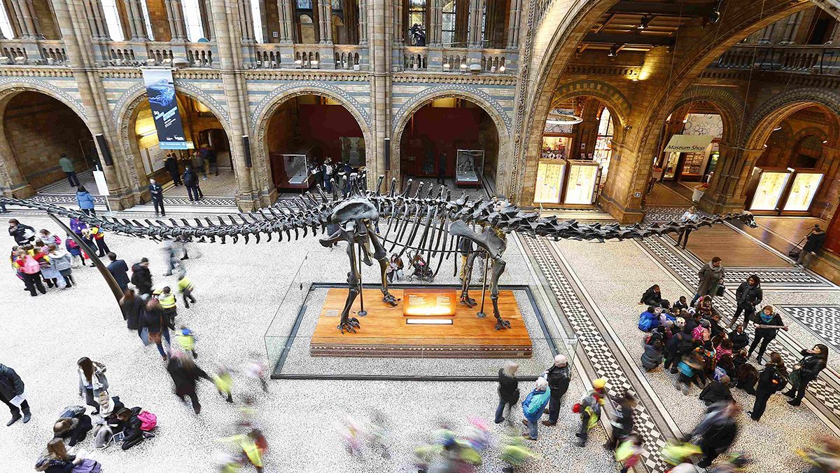 Outcry after London museum retires Dippy the dinosaur
