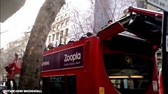 Bus gegen Baum: Nur noch Blech