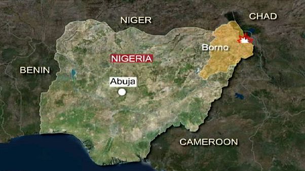 Tschad und Kamerun greifen Boko Haram in Nigeria an Tschad und Kamerun greifen Boko Haram in Nigeria an