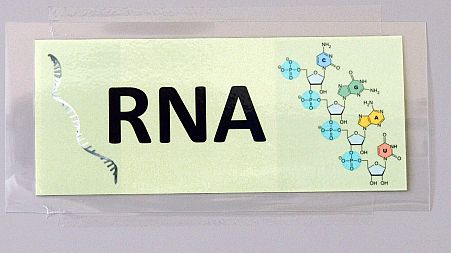 Messenger RNA: the molecule that may teach our bodies to beat cancer