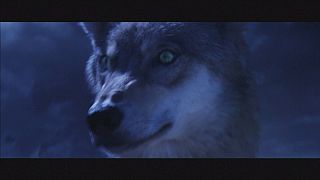 "Wolf Totem": Annaud in China