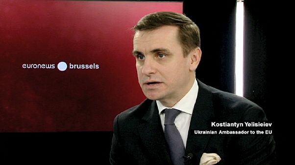 Ukrainischer EU-Botschafter Yelisieiev: "Wir brauchen Verteidigungswaffen" Ukrainischer EU-Botschafter Yelisieiev: "Wir brauchen Verteidigungswaffen"