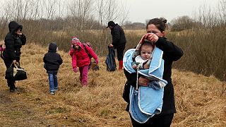 Menekültáradat a szerb-magyar határon
