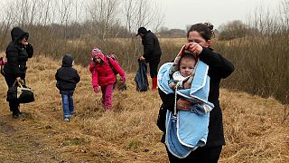 German police help catch Kosovan refugees on Hungarian border