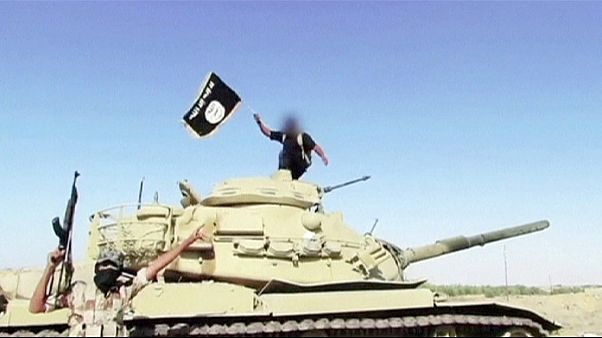 Αραβικές χώρες στη μάχη κατά των τζιχαντιστών Αραβικές χώρες στη μάχη κατά των τζιχαντιστών