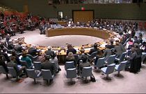 El Consejo de Seguridad respalda el alto el fuego de Minsk