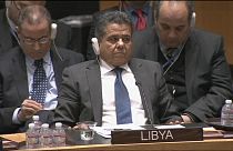 Líbia pede à ONU fim de embargo sobre as armas