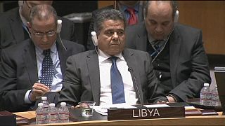 Libya urges UN to lift arms embargo in fight against ISIL militants