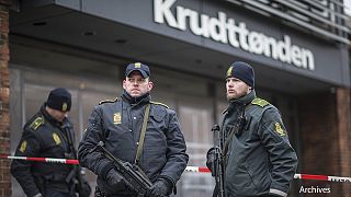 Denmark steps up 'defence against terror'