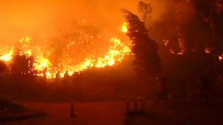 Lutte infernale contre des feux de forêts au Chili