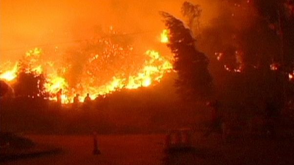 Лесные пожары на юге Чили Лесные пожары на юге Чили
