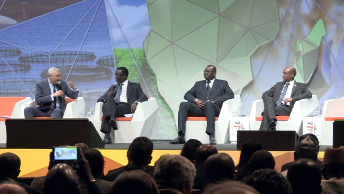 Форум по развитию Африки: мы готовы выйти на мировой рынок