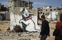 Gaza: os gatos já tem algo para brincar e as crianças?